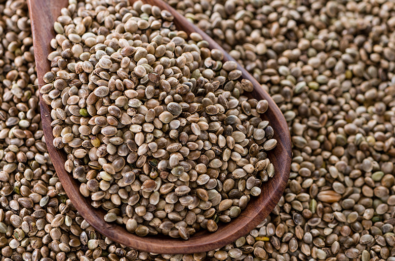 hemp-seed