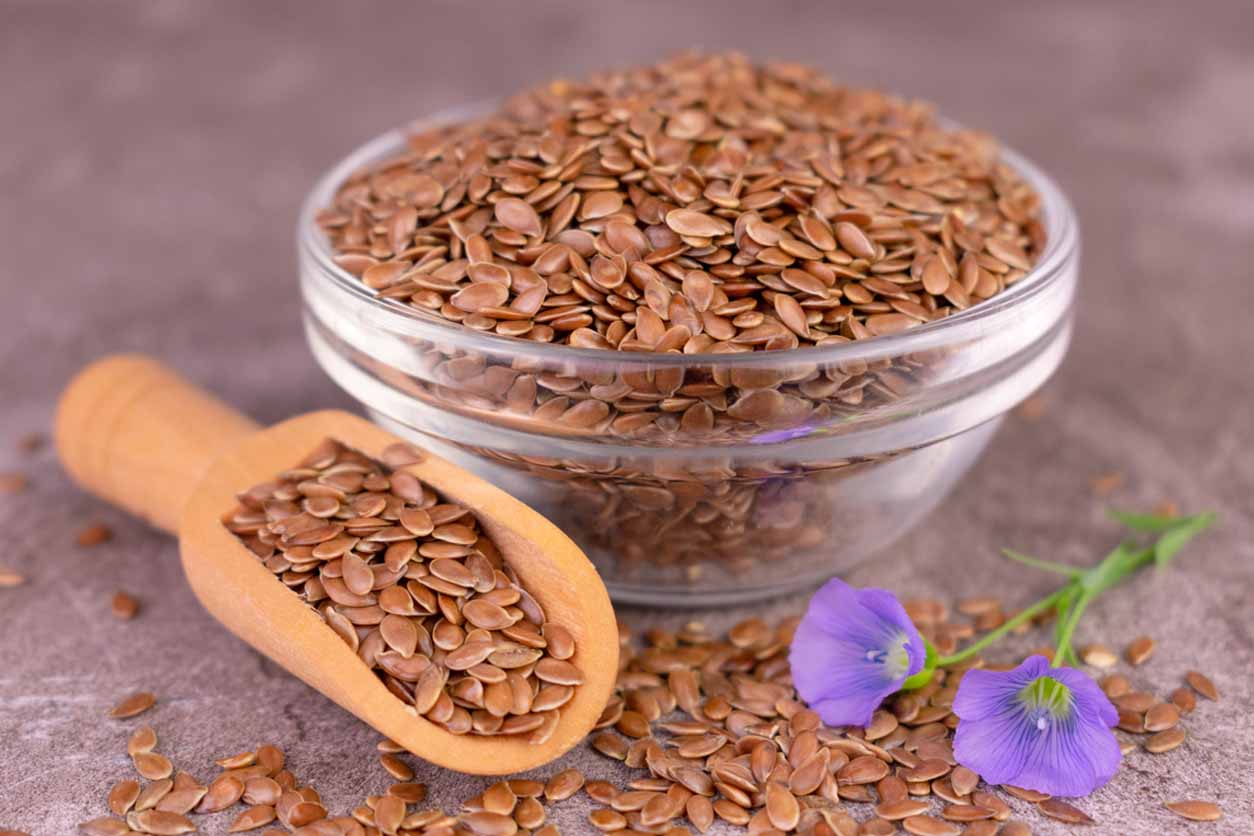 Organic Brown Flaxseeds, Linseeds